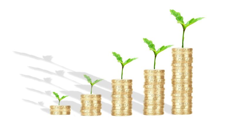 best budgeting strategies for beginners - Blog ShortUrl