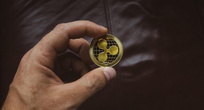 top cryptocurrencies to invest in - Blog ShortUrl