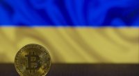 best crypto for beginners - Blog ShortUrl