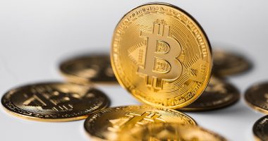 best crypto portfolio strategy - Blog ShortUrl