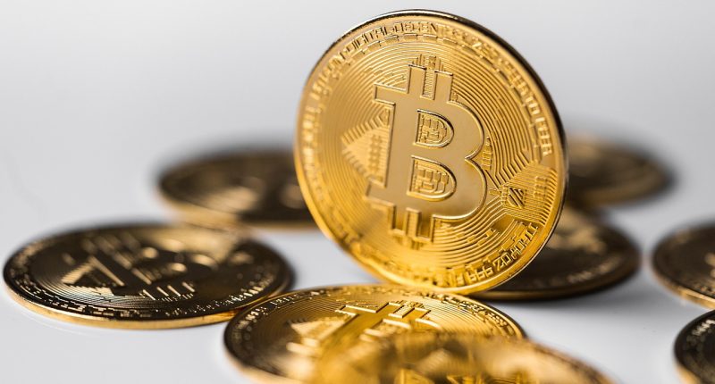 best crypto portfolio strategy - Blog ShortUrl
