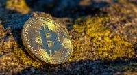 safest crypto investments - Blog ShortUrl