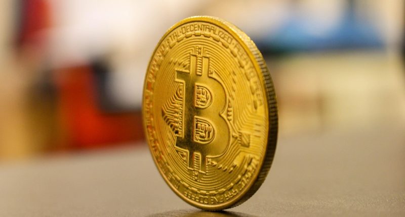 how crypto presales work - Blog ShortUrl
